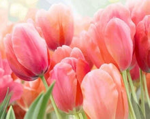 Carica l'immagine nel visualizzatore di Gallery, Dipingere con i numeri - Tulipano