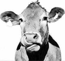 Carica l'immagine nel visualizzatore di Gallery, Dipingere con i numeri - Mucca In Bianco E Nero