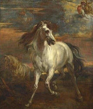Carica l'immagine nel visualizzatore di Gallery, Dipingere con i numeri - Vecchio Cavallo