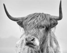 Carica l'immagine nel visualizzatore di Gallery, Dipingere con i numeri - Yak Bianco