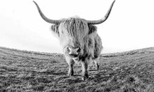 Carica l'immagine nel visualizzatore di Gallery, Dipingere con i numeri - Yak Deserto