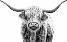 Carica l'immagine nel visualizzatore di Gallery, Dipingere con i numeri - Yak