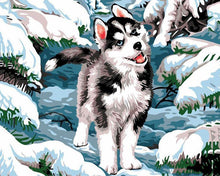 Carica l&#39;immagine nel visualizzatore di Gallery, Dipingere con i numeri - Husky nella neve