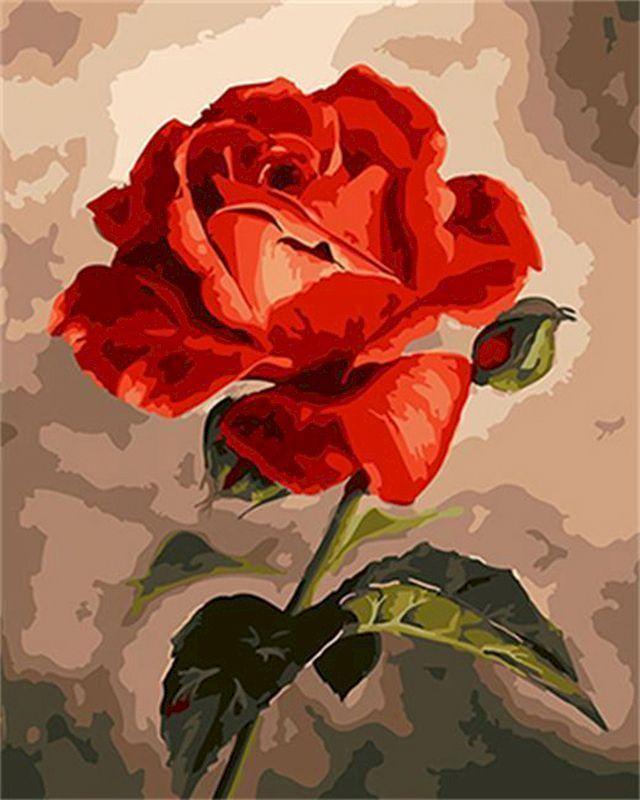Dipingere con i numeri - Bella rosa rossa