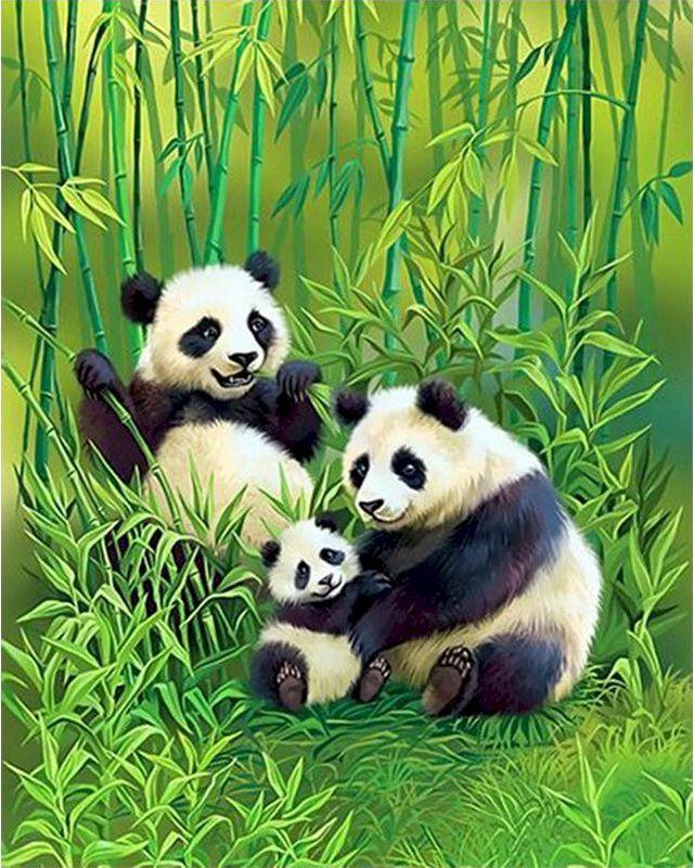 Dipingere con i numeri - La famiglia Panda