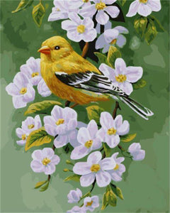 Dipingere con i numeri - Uccellino su un ramo fiorito