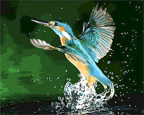 Dipingere con i numeri - Colibrì che prende il volo