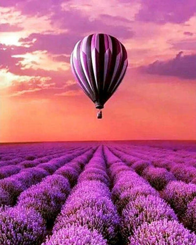 Dipingere con i numeri - Mongolfiera sui campi di lavanda