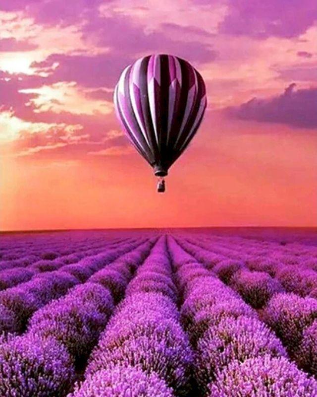 Dipingere con i numeri - Mongolfiera sui campi di lavanda
