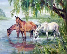 Carica l&#39;immagine nel visualizzatore di Gallery, Dipingere con i numeri - Tre cavalli si dissetano