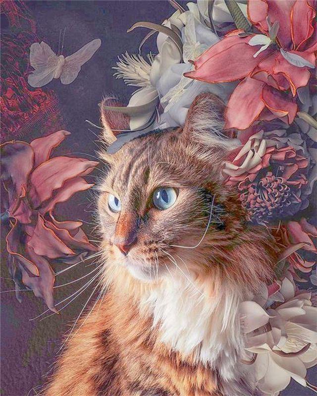 Dipingere con i numeri - Gatto fra i fiori