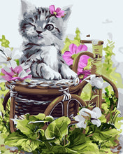 Carica l&#39;immagine nel visualizzatore di Gallery, Dipingere con i numeri - Adorabile gattino grigio