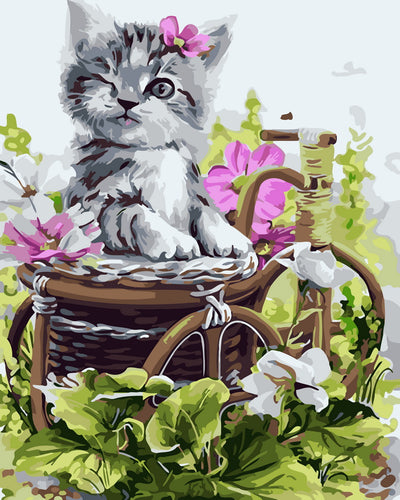 Dipingere con i numeri - Adorabile gattino grigio