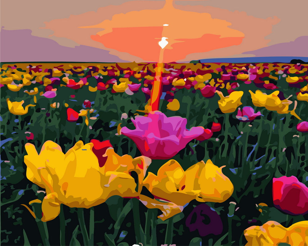 Dipingere con i numeri - Tramonto e campi di fiori