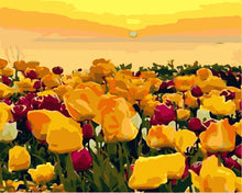 Carica l&#39;immagine nel visualizzatore di Gallery, Dipingere con i numeri - Campi di tulipani