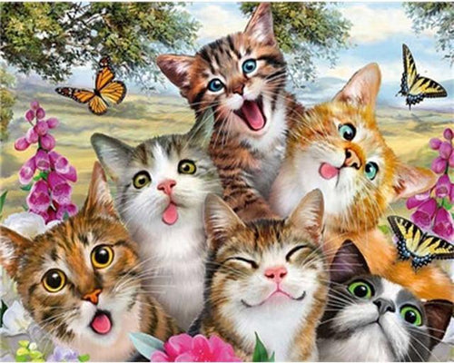 Dipingere con i numeri - La famiglia dei gatti 2