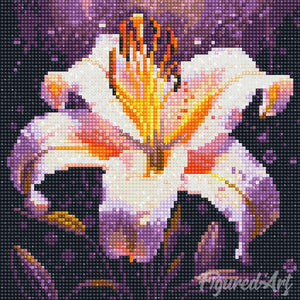 Mini Diamond Painting 25x25cm Giglio in Fiore