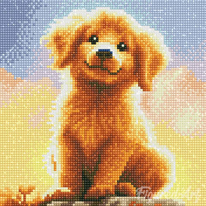 Mini Diamond Painting 25x25cm Dolce Cucciolo di Golden Retriever