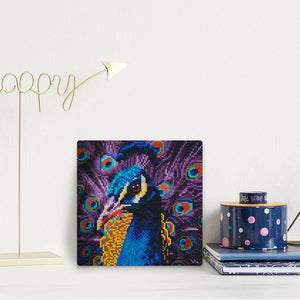 Mini Diamond Painting 25x25cm Pavone Grazioso