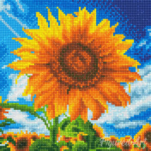 Carica l&#39;immagine nel visualizzatore di Gallery, Mini Diamond Painting 25x25cm Baciato dal Sole