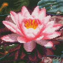 Carica l&#39;immagine nel visualizzatore di Gallery, Mini Diamond Painting 25x25cm Ninfea Rosa