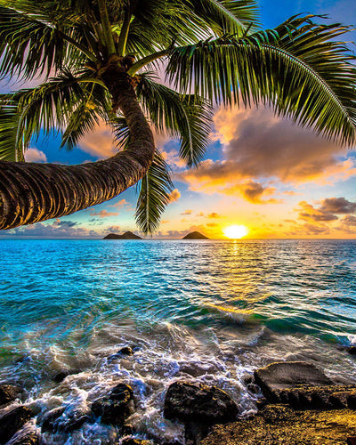 Diamond Painting - Paradiso tropicale
