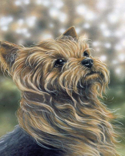 Diamond Painting - Ritratto di un bel cane