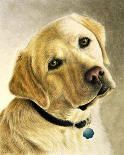 Diamond Painting - Ritratto di un labrador