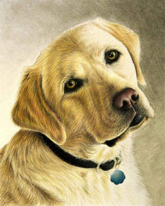 Diamond Painting - Ritratto di un labrador