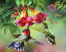 Carica l&#39;immagine nel visualizzatore di Gallery, Diamond Painting - Colibrì e i loro fiori