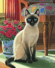 Carica l&#39;immagine nel visualizzatore di Gallery, Diamond Painting - Gatto con gli occhi blu