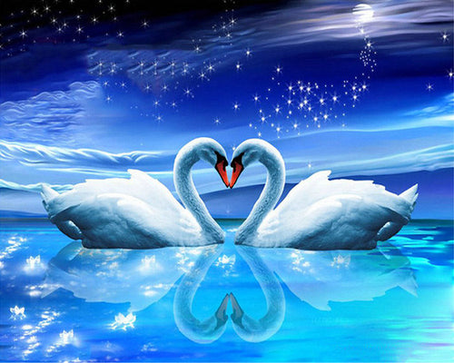 Diamond Painting - Coppia di Cigni sotto la Luna