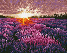 Carica l&#39;immagine nel visualizzatore di Gallery, Diamond Painting - Campo di Lavanda