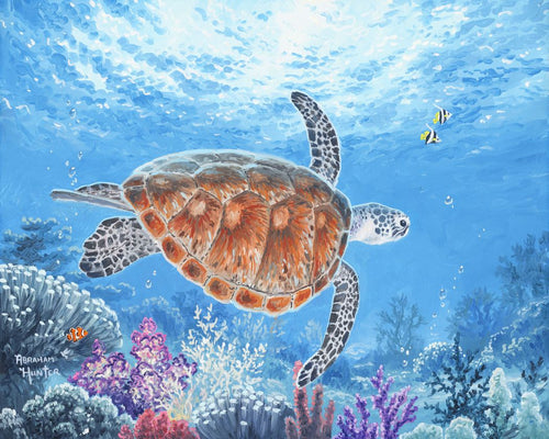 Dipingere con i numeri - Tartaruga di mare