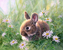 Carica l&#39;immagine nel visualizzatore di Gallery, Dipingere con i numeri - Coniglio e margherite