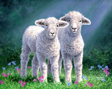 Carica l&#39;immagine nel visualizzatore di Gallery, Dipingere con i numeri - Coppia di pecore