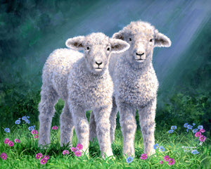 Dipingere con i numeri - Coppia di pecore