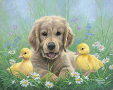 Carica l&#39;immagine nel visualizzatore di Gallery, Dipingere con i numeri - Labrador e pulcini
