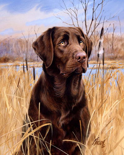 Dipingere con i numeri - Cane Labrador