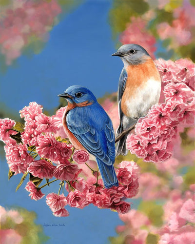 Dipingere con i numeri - Coppia di uccelli blu