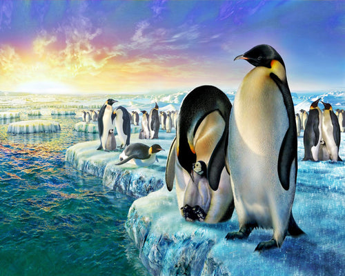 Dipingere con i numeri Pinguini sul ghiaccio Figured'Art intermedia nuovi arrivi animali pinguini paesaggi