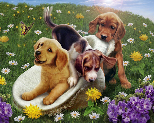 Dipingere con i numeri Giochi con gli amici Figured'Art intermedia nuovi arrivi animali cani fiori