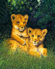 Carica l&#39;immagine nel visualizzatore di Gallery, Dipingere con i numeri Cuccioli di leone Figured&#39;Art avanzate nuovi arrivi animali leoni