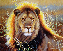 Carica l&#39;immagine nel visualizzatore di Gallery, Dipingere con i numeri Leone nella savana Figured&#39;Art intermedia nuovi arrivi animali leoni