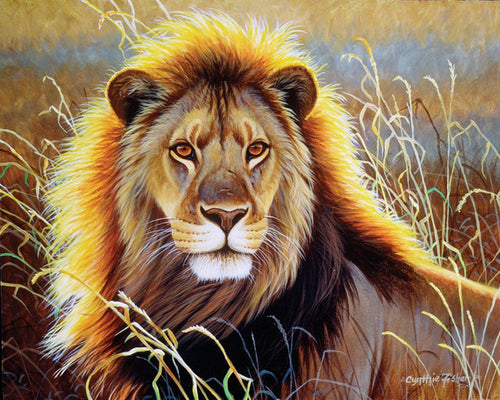 Dipingere con i numeri Leone nella savana Figured'Art intermedia nuovi arrivi animali leoni