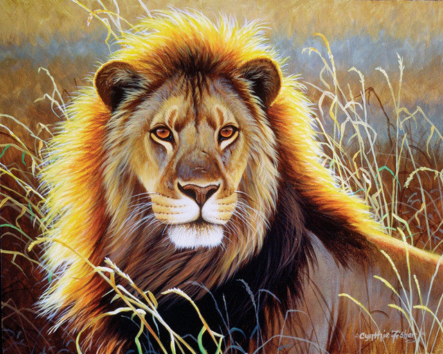 Dipingere con i numeri Leone nella savana Figured'Art intermedia nuovi arrivi animali leoni