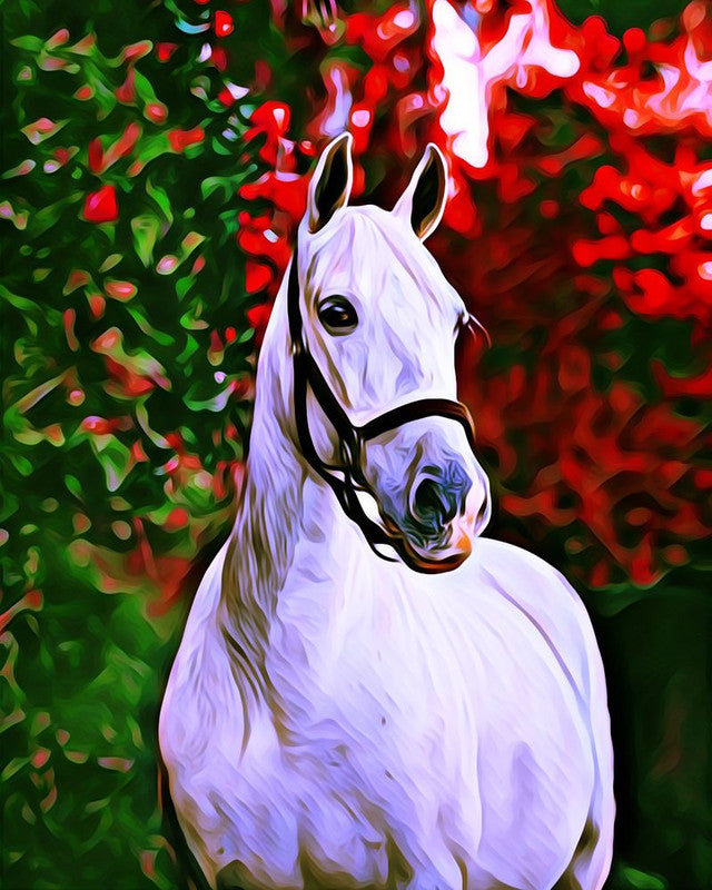 Diamond Painting - Cavallo su sfondo colorato 40x50cm tela già incorniciata