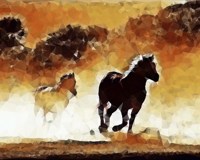 Diamond Painting - Cavalli in azione 40x50cm tela già incorniciata