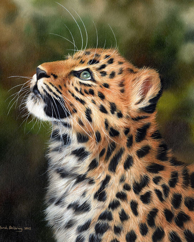 Dipingere con i numeri Leopardo curioso Figured'Art intermedia nuovi arrivi animali leopardi