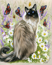 Carica l&#39;immagine nel visualizzatore di Gallery, Dipingere con i numeri Scoperta delle farfalle Figured&#39;Art intermedia nuovi arrivi animali gatti farfalle fiori